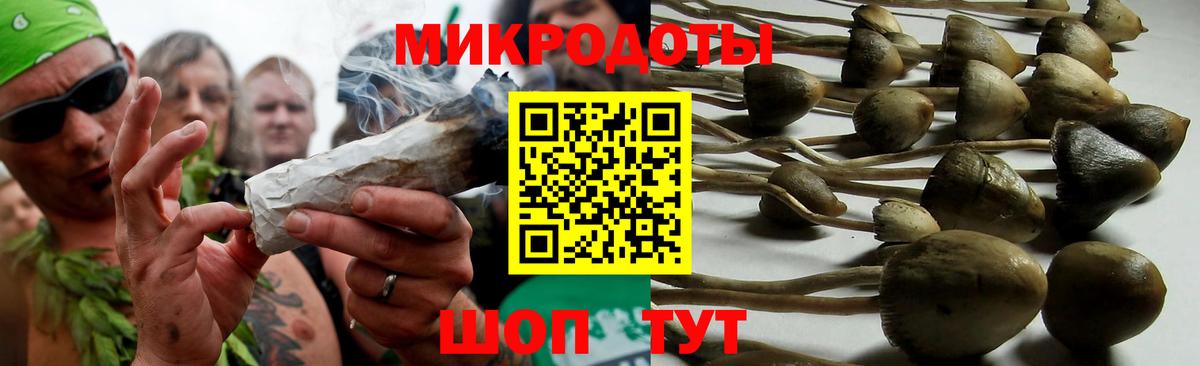 Галлюциногенные грибы Magic Shrooms Люберцы